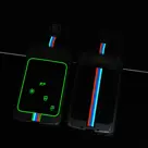 Dutch Shield  Sleutelhoesje  Renault C2