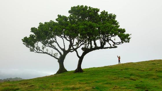 Portugal_sfeerbeeld_Madeira_Natuur_binnenland_bergen_©Andre Carvalho_v (28).jpg