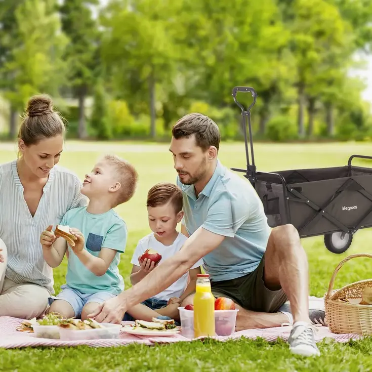 Bolderkar – 70KG – Grijs