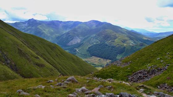 Alleen voor online gebruik en businessline Reizen