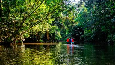costa-rica_tortuguero_mangroves_groen_kano_mensen_getty