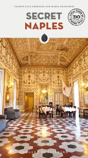 Reisgids Secret Naples