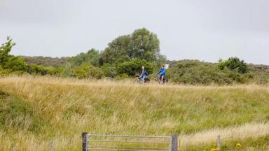 hotel_nederland_kamperland_rcn-vakantiepark-de-schotsman_fietsen_natuur_dijk