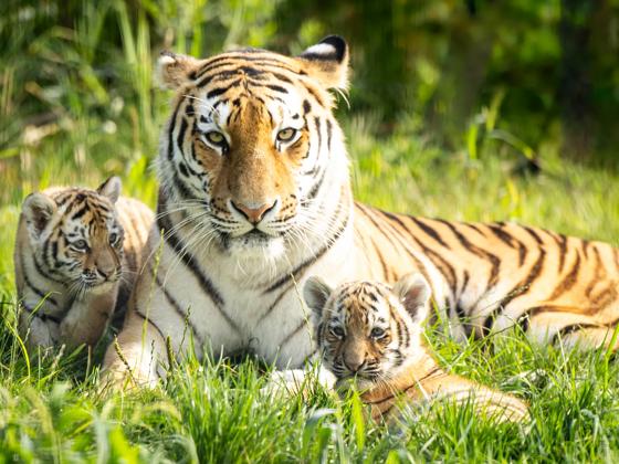 Impressie van AquaZoo Leeuwarden