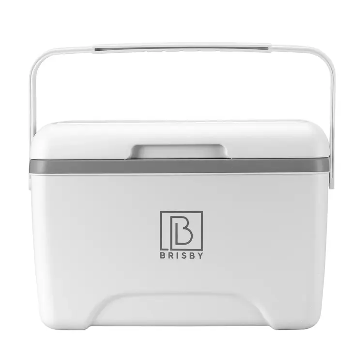 Koelbox - Lunchbox - 8L