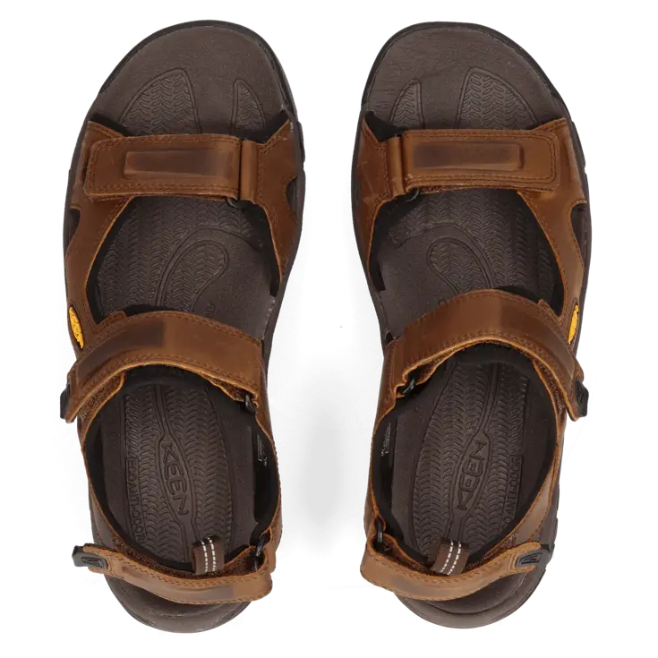 Targhee III - Wandelschoenen - Heren