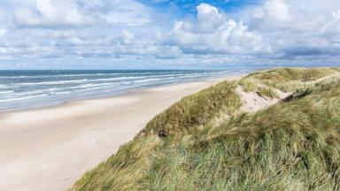 denemarken_jutland_blokhus_strand-duinen-zee_pixabay