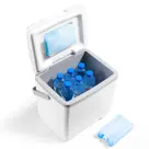 Brisby - Koelbox - 13L