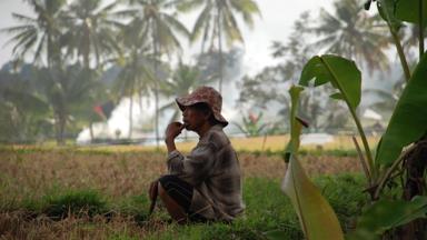 indonesie_bali_ubud_local_man_boer_w.jpg