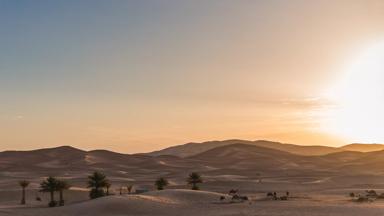 marokko_erg-chebbi-woestijn_merzouga_woestijnlandschap_overzicht_dromedarissen_palmbomen_zonsondergang_zon_w