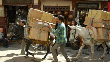 marokko_vervoer-in-de-soukh_ezels_beeldbank-kampeerreizen