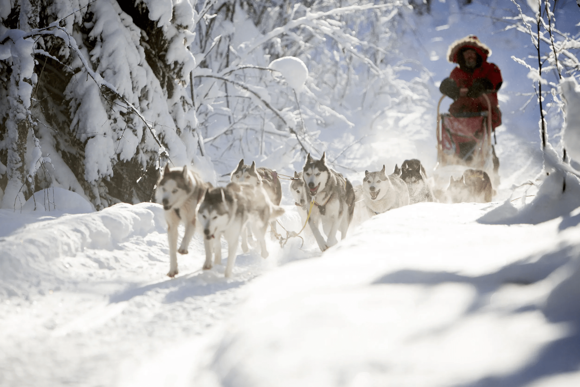 8-daagse wintervakantie Noord-Zweden - Zweeds Lapland afbeelding