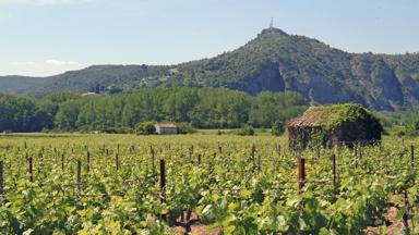 frankrijk_auvergne-rhone-alpes_ardeche_ruoms_wijngaard_hut_berg