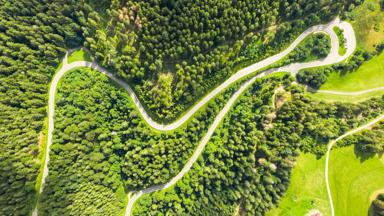 duitsland_zwarte-woud_schwarzald-hochstrasse_slingerweg_bos_bomen_auto-weg_shutterstock