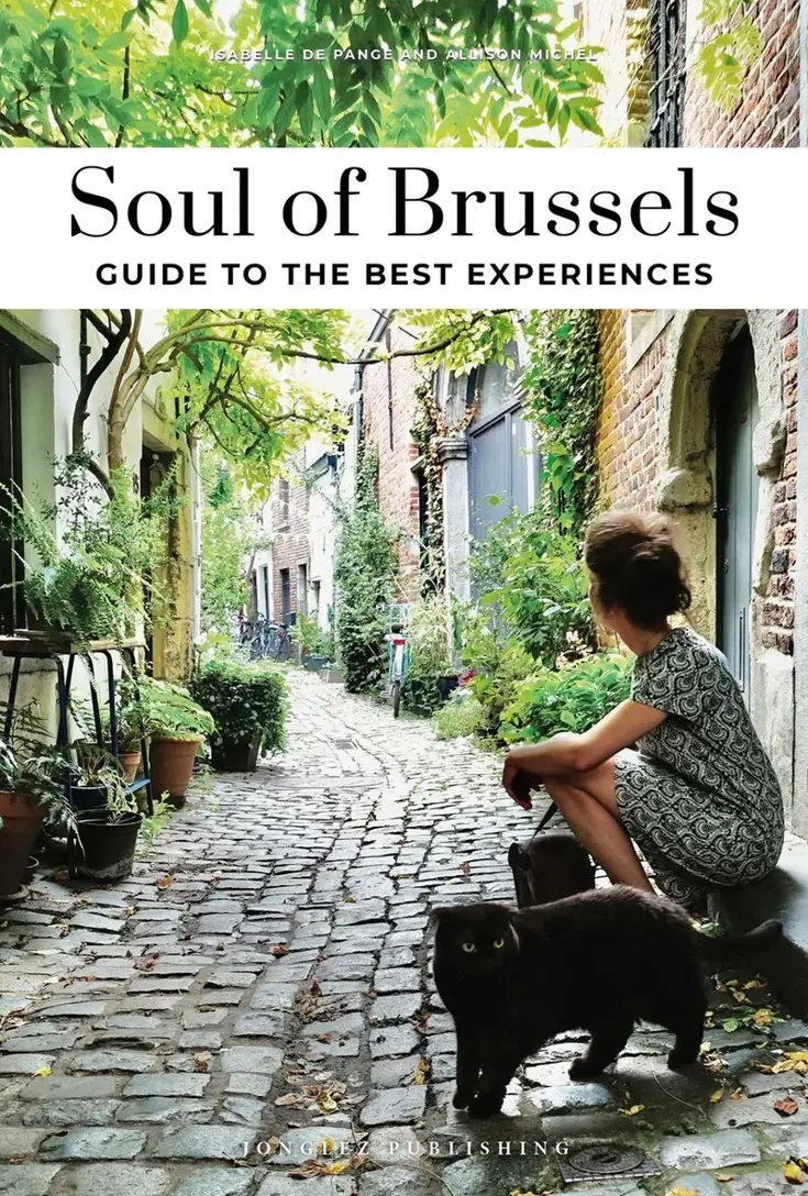 Reisgids Soul of Brussels