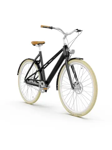 Valencia E-Bike 54CM