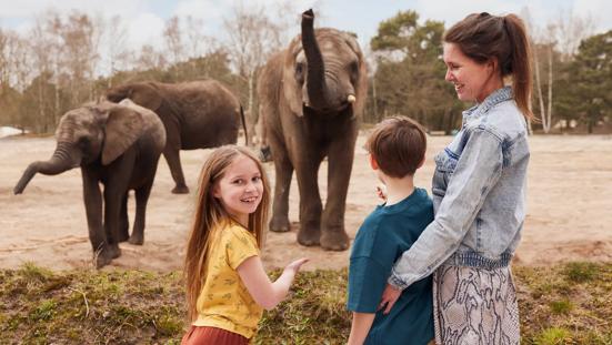 Moeder en twee kinderen bekijken olifanten in safaripark Beekse Bergen.