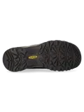 Targhee IV Mid - Wandelschoenen - Heren
