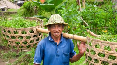 indonesie_bali_rijstboer_5_b.jpg