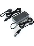 Lader geschikt voor Riverside 500E E bike