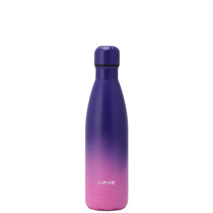 Drinkfles RVS 500 ml