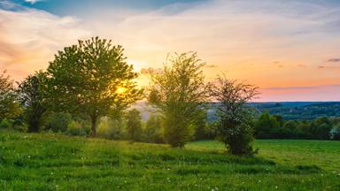 belgie_ardennen_zonsondergang_grasland_pixabay