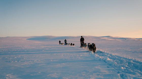 noorwegen_oost-noorwegen_geilo_huskysafari_Photo_Paul_Lockhart