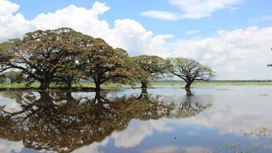sri lanka_tissamaharama_yala national park_meer_f