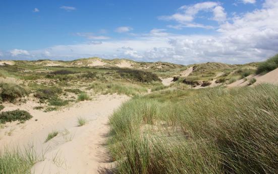 Officiële status nationaal park voor Hollandse Duinen