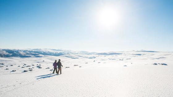 noorwegen_oostland_geilo-winter_jVegard-Breie3