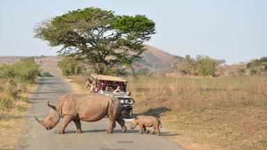 zuid-afrika_hluhluwe_safari_gamedrive_jeep_4x4_groep_overstekende-neushoorns_brochure_w