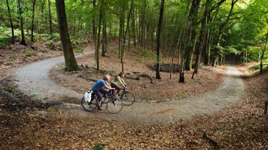 nederland_algemeen_bos_fietsen_stel_GettyImages-582758144