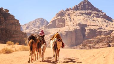 jordanie_wadi-rum-woestijn_kamelen_rotsformaties_zand_local_shutterstock