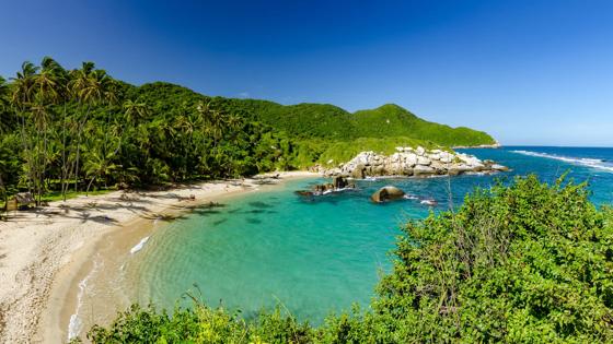 colombia_tayrona-nationaal-park_algemeen_beste-reistijd-colombia_strand_palmbomen_mensen_shutterstock