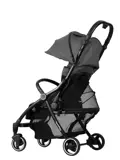 XL Buggy - MagicFold™ - Grote Bagagevak