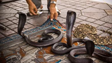 marokko_marrakech_djemaa-el-fna-plein_cobra_slang_man_tapijt