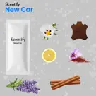 Autoparfum Inclusief 6 Geuren - Luchtverfrisser