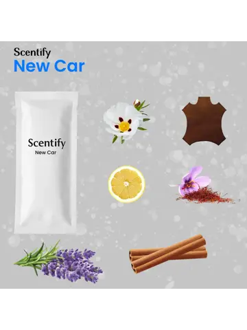 Autoparfum Inclusief 6 Geuren - Luchtverfrisser