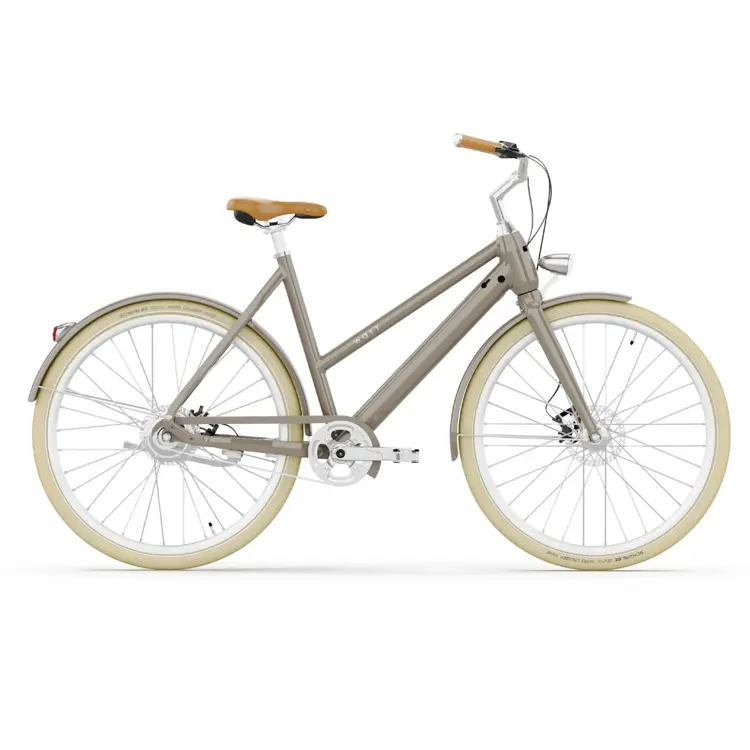 Dublin E-Bike Dames 50CM