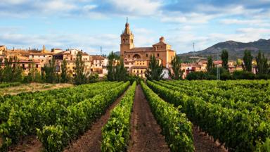 spanje_la-rioja_ brinas_wijngaard_uitzicht-op-kerk_getty