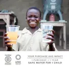 Lifestraw Go 2.0 - Vervangingsfilter