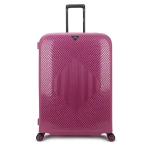 Decent - Axiss-fix - Grote koffer 110L