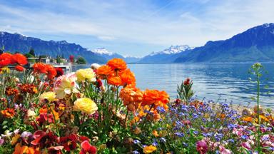 zwitserland_vaud_geneve_meer-van-geneve_bloemen_kleur_shutterstock-142338424