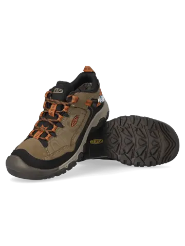 Targhee IV - Wandelschoenen - Heren