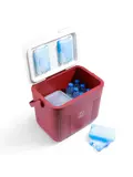 Koelbox - Lunchbox - 22L
