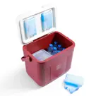 Brisby - Koelbox - 22L