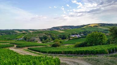 frankrijk_centre-val-de-loire_sancerrois_wijngaard_heuvel_pixabay