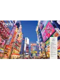 Reisgids Experience Japan 2