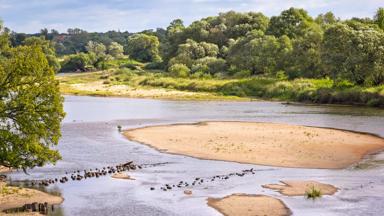 duitsland_saksen_mulde_river_zandbank_GettyImages-497125974