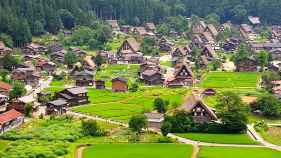 japan_shirakawago_dorp_huizen_rijstvelden_b